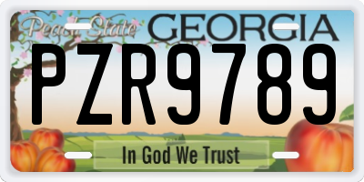 GA license plate PZR9789