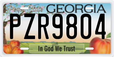 GA license plate PZR9804