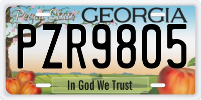 GA license plate PZR9805