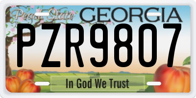 GA license plate PZR9807