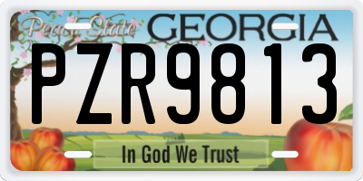 GA license plate PZR9813