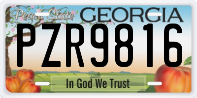GA license plate PZR9816
