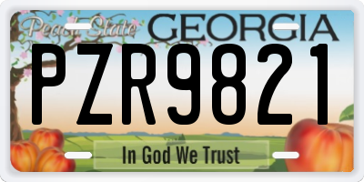 GA license plate PZR9821