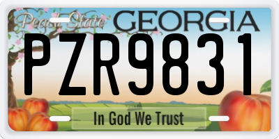 GA license plate PZR9831