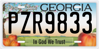 GA license plate PZR9833