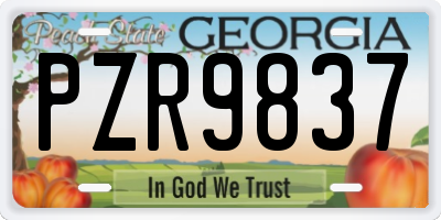 GA license plate PZR9837