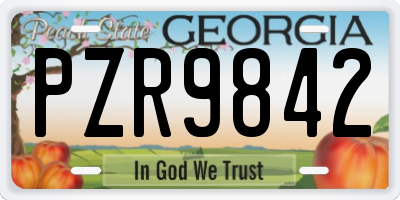 GA license plate PZR9842