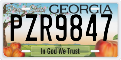 GA license plate PZR9847