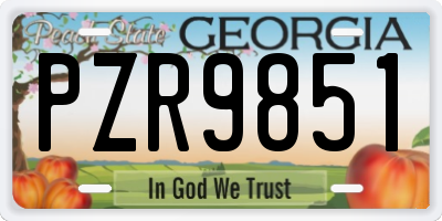 GA license plate PZR9851