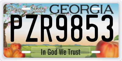 GA license plate PZR9853