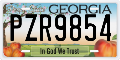 GA license plate PZR9854