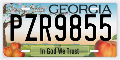 GA license plate PZR9855