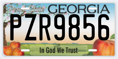 GA license plate PZR9856