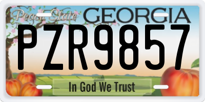 GA license plate PZR9857