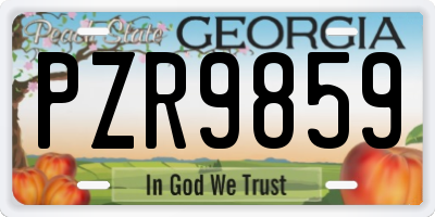 GA license plate PZR9859