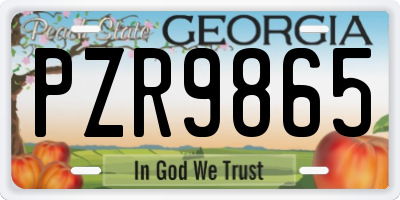 GA license plate PZR9865