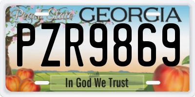 GA license plate PZR9869