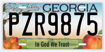 GA license plate PZR9875