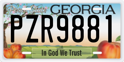 GA license plate PZR9881