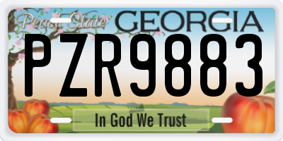 GA license plate PZR9883