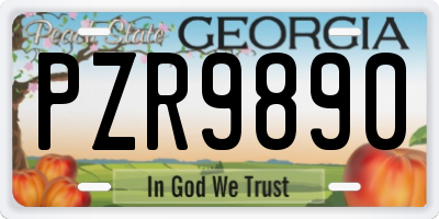 GA license plate PZR9890