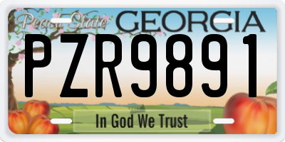 GA license plate PZR9891