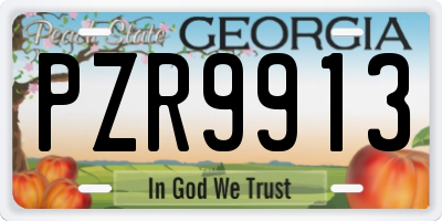GA license plate PZR9913