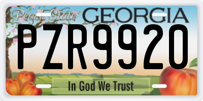 GA license plate PZR9920