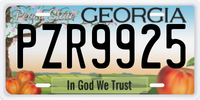 GA license plate PZR9925