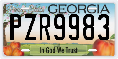 GA license plate PZR9983