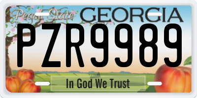 GA license plate PZR9989