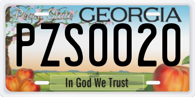 GA license plate PZS0020