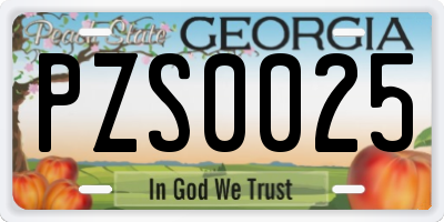 GA license plate PZS0025