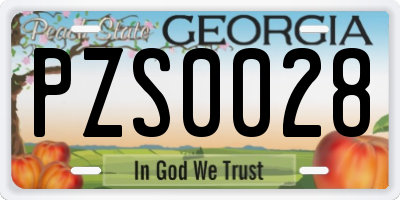 GA license plate PZS0028