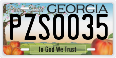 GA license plate PZS0035