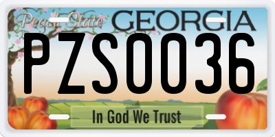 GA license plate PZS0036