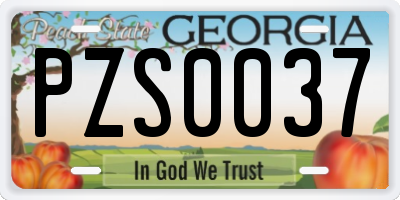 GA license plate PZS0037