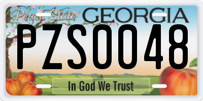 GA license plate PZS0048