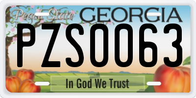 GA license plate PZS0063