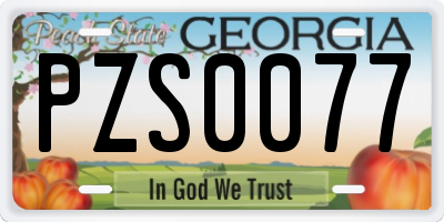 GA license plate PZS0077