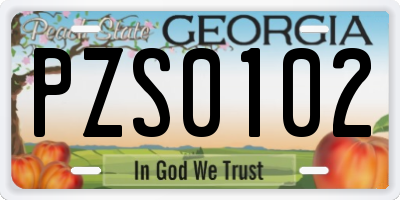 GA license plate PZS0102
