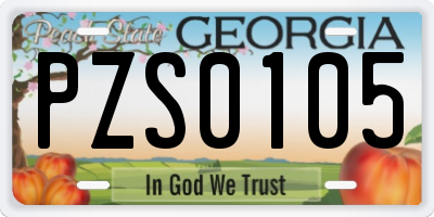 GA license plate PZS0105