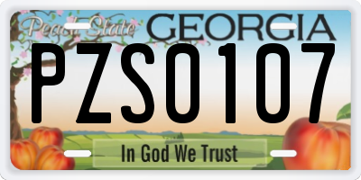 GA license plate PZS0107