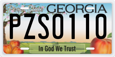 GA license plate PZS0110