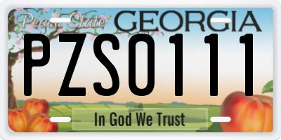 GA license plate PZS0111