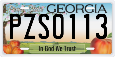 GA license plate PZS0113