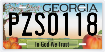 GA license plate PZS0118