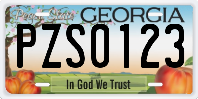 GA license plate PZS0123