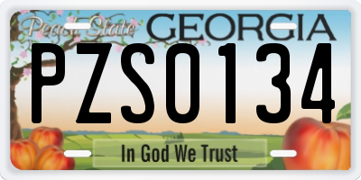 GA license plate PZS0134