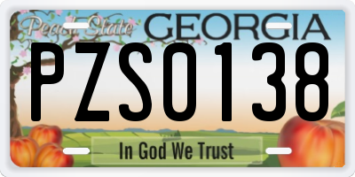 GA license plate PZS0138